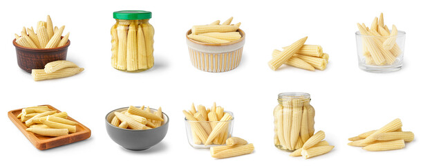 Set of tasty canned corn cobs on white background