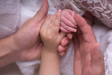 Family members holding hands together in union