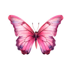 Obraz premium Illustration of a pink butterfly with shaded wings against a white background