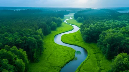 Fototapete Rund Aerial View of Summer Forest Landscape.  Woodland Serenity.  Top of the World © EwaStudio