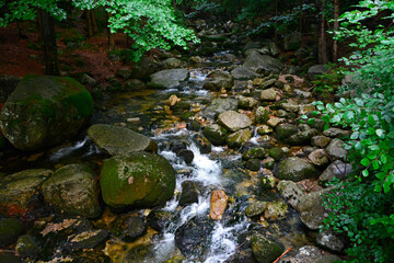 górski potok, wartki strumień leśny płynący miedzy kamieniami, a mountain stream, a fast...