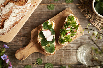 Young garlic mustard and ground elder leaves - wild edible plants on slices of sourdough bread