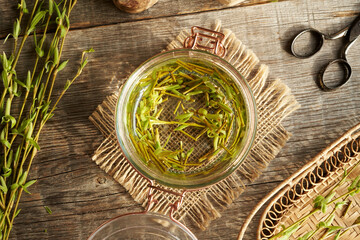 Preparation of homemade herbal tincture from willow branches with buds and young leaves harvested...