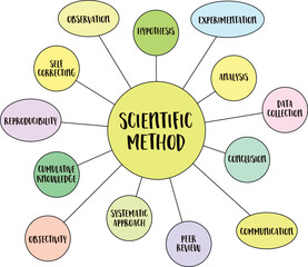 scientific method infographics or mind map vector sketch, science and research concept - 780907099
