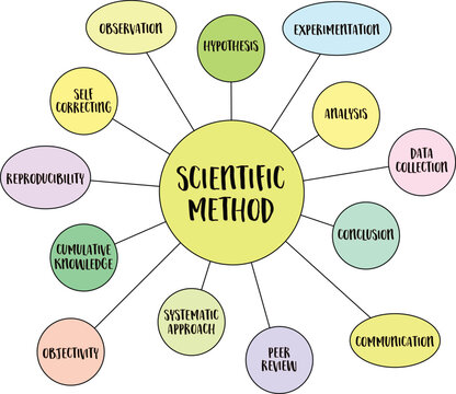 scientific method infographics or mind map vector sketch, science and research concept