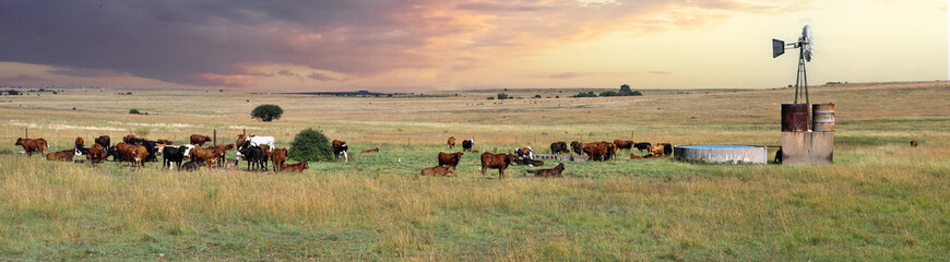 A panoramic scenic landscape showing an African farm at sunrise.