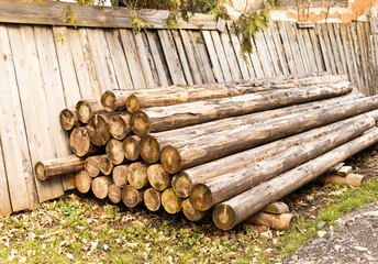 chopped trees lie in a pile on the grass, firewood
