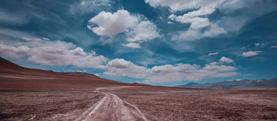 Deurstickers Atacama © Galyna Andrushko