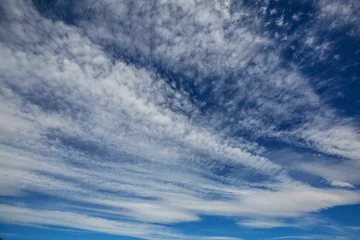 Rolgordijnen Blue sky © Galyna Andrushko