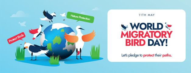 World Migratory Bird Day. 11 May world migratory bird day conceptual cover banner, post with earth globe and different migratory birds around it. Protect Insects, Protect Birds awareness banner.