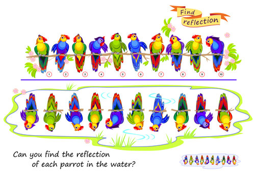Logic puzzle game for children and adults. Can you find the reflection of each parrot in the water? Brain teaser book. Developing kids spatial thinking. Task for attentiveness. Vector illustration.