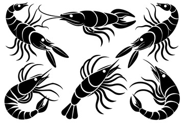 Exquisite Shrimp Fish A Vector Illustration 