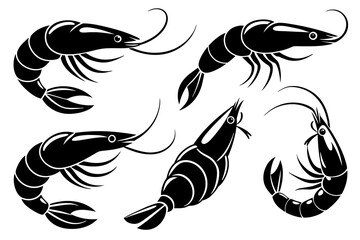 Exquisite Shrimp Fish A Vector Illustration 