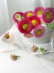 daisies in a vase