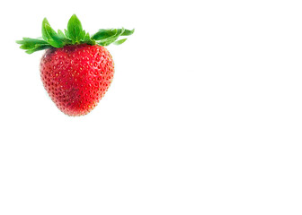 Whole strawberry on a white background with copy space