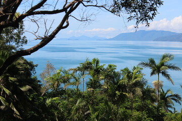 View from the lookout overlooking four mile beach, Port Douglas, North Queensland, Australia. 