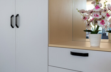 Cabinet furniture. Bright flower on shelf of built-in wardrobe with mirror