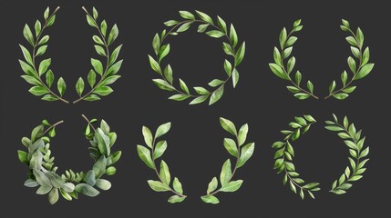 A set of four different types of leaves, perfect for botanical projects - obrazy, fototapety, plakaty