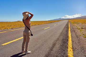 rear view young woman traveler adventurer standing on the road contemplating beautiful altiplano in Los Flamencos National Reserve Antofagasta Region San Pedro de Atacama