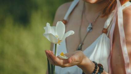 Woman's hand holds a white flower in a summer garden