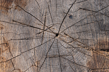 rustic old dirty wood texture background