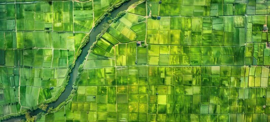 Banner of aerial satellite view of cultivated agricultural farming land fields