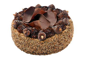 Peanut cake with chocolate, cashew