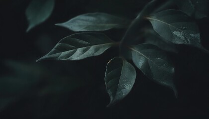 green leaf for nature background