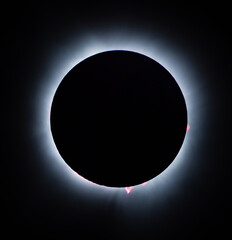 Solar eclipse with red solar prominences - obrazy, fototapety, plakaty