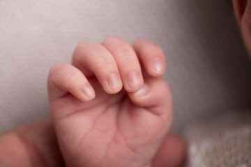 Little newborn baby hands 