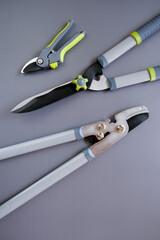 Secateurs, loppers and hedge trimmers for pruning and trimming plants.Steel Garden tool set on gray...
