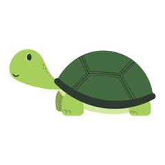Cute turtle illustration