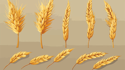 Cereals set with rice wheat corn oats rye barley ic - obrazy, fototapety, plakaty