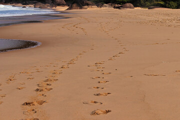 footprints on the beafootprints side by side in the sand of the beach in Trindade.ch