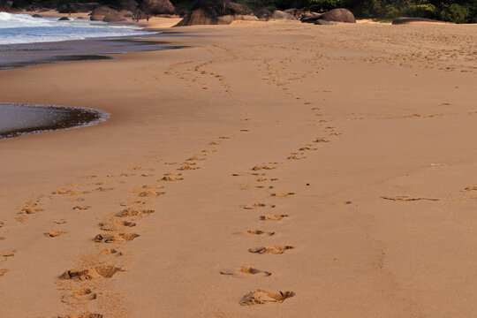 footprints on the beafootprints side by side in the sand of the beach in Trindade.ch