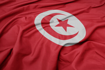 waving colorful national flag of tunisia.