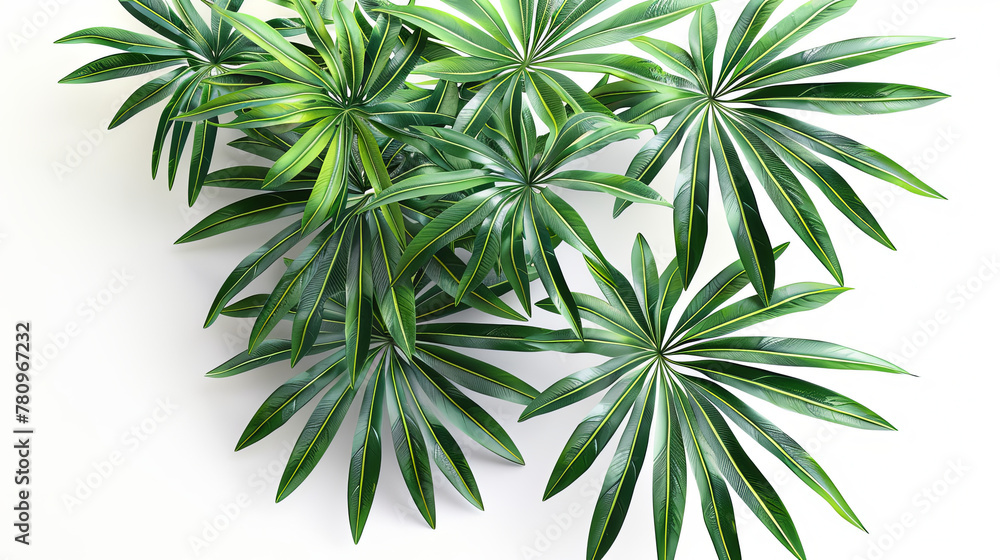 Poster a photorealistic image of foliage on a white background is featured in the image with a unique persp