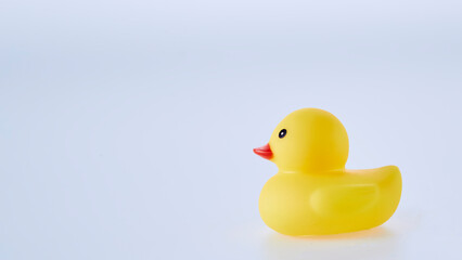Yellow rubber ducks on a white background