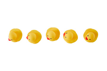 Five Yellow rubber ducks on a white background