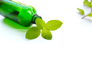Mint fresh leaves with essential oil bottle