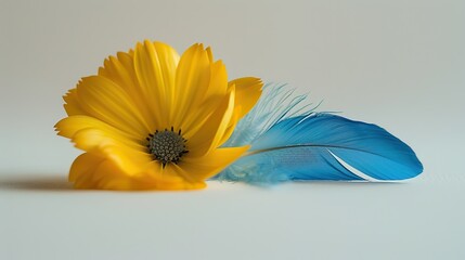 A lone yellow flower and a blue feather delicately arranged on a white surface