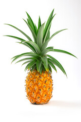Pineapple isolated on white background - 780973403