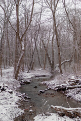 Snowy Creek