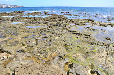 CHARCOS DE MAREA EN LA ISLA DE TENERIFE