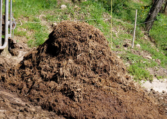Heap of seasoned cow manure ready for use