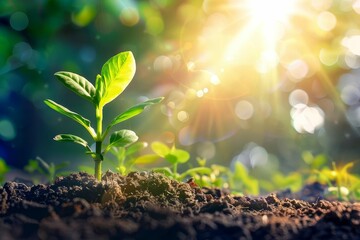 Young green seedling sprouting from rich soil towards bright morning sunlight, growth and new beginnings illustration - obrazy, fototapety, plakaty