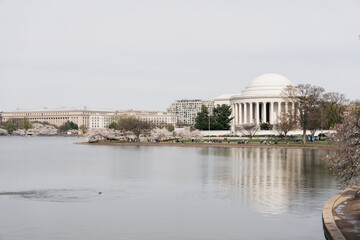 US Jefferson Memorial in the spring