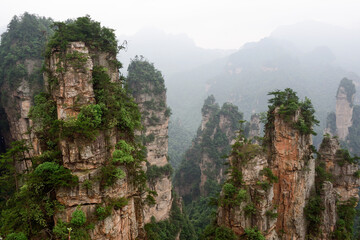 Fototapeta na wymiar Sandstone pillars rise above the lush forest of Zhangjiajie National Forest Park in Wulingyuan Scenic Area, China.