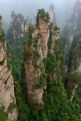 Sandstone pillars rise above the lush forest of Zhangjiajie National Forest Park in Wulingyuan Scenic Area, China.