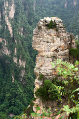 Sandstone pillars rise above the lush forest of Zhangjiajie National Forest Park in Wulingyuan Scenic Area, China.